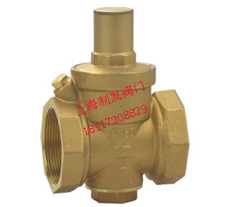 YZ11֧��ʽ��ѹ��