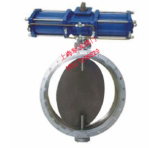 D641W����͸�����