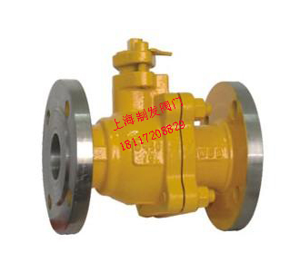 Q41N/FҺ������Ȼ��ר����